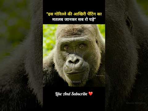 इस गोरिल्ले की आखिरी पेंटिंग का मतलब जानकर सब रो पड़े #shorts