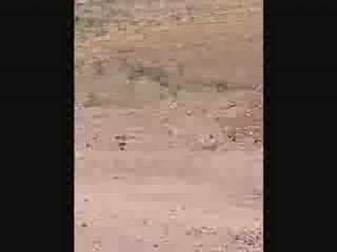 Berg hoch in (fast) vorbildlicher Haltung