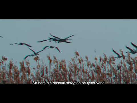 Erion Korini - Shtegëtim dashurie