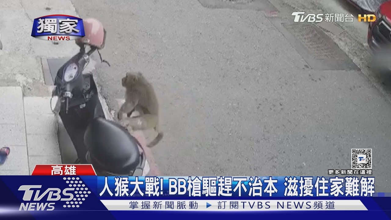 推倒機車、摸大腿!獼猴搗亂 住戶擁「槍」自重