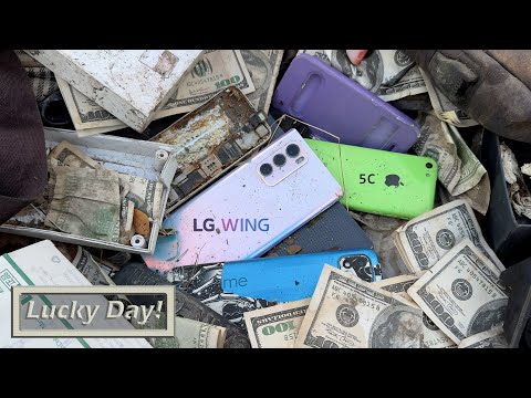 😍So Lucky! Found Many Broken Phones || LG Wing Restoration