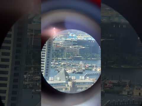 road to huśtawka Amsterdam