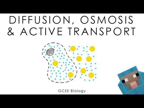 Diffusion, Osmosis & Active Transport - GCSE Biology (full version)