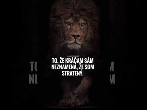 romane gila fery tu san shey