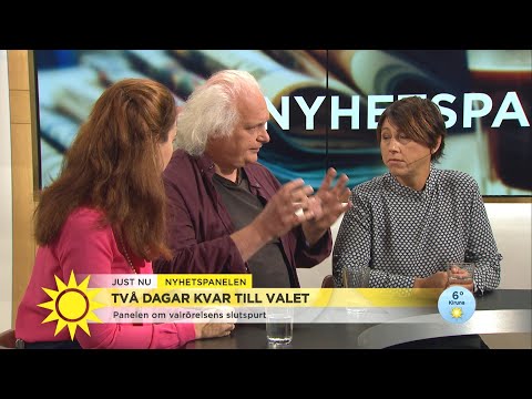 Nyhetspanelen: ”När vi lägger vår röst väljer vi också samhällsmodell” - Nyhetsmorgon (TV4)