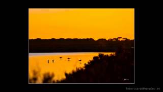 preview picture of video 'Fotos atardecer Sanlúcar de Barrameda FOTO RICARDO'