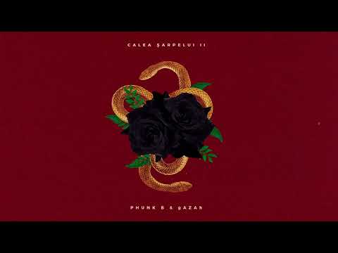 Phunk B x gAZAh - Bossa Nova