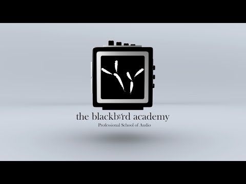 The Blackbird Academy