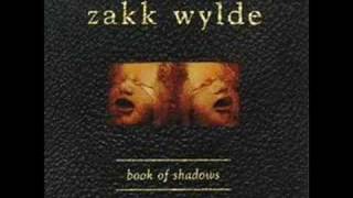 ZAKK WYLDE - Between Heaven And Hell