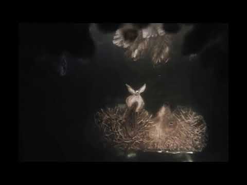 White Punk x Velial Squad Type Beat - "Goat" | (prod by Rody)