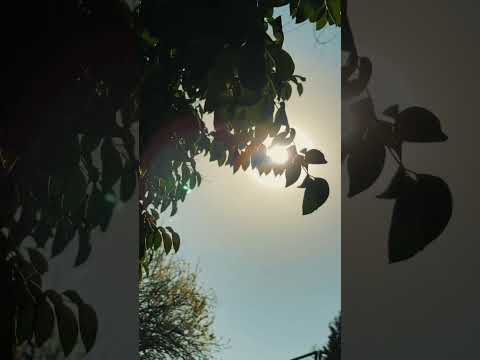    Entre tierra y ciudad | Paseo en bici por Córdoba +50 #pov #shorts #cordoba