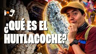 ¿Qué es huitlacoche? Una masterclass con Claudia