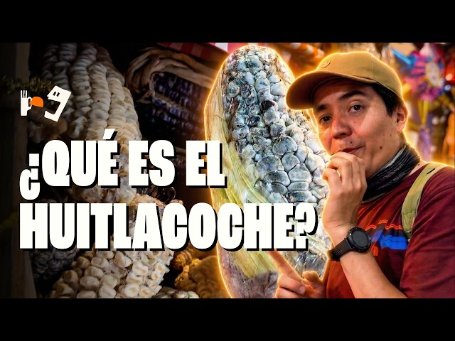 ¿Qué es huitlacoche? Una masterclass con Claudia