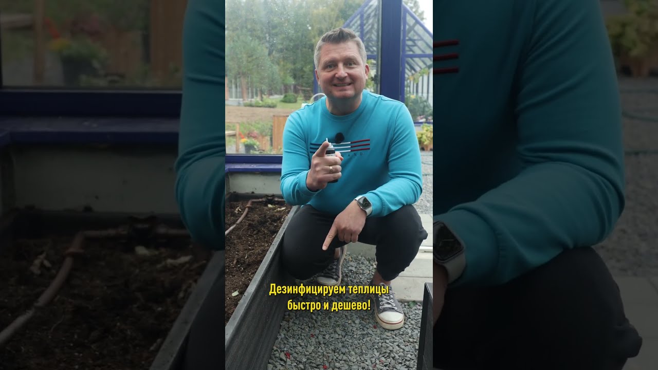 Дезинфицируем теплицу быстро и дешево!