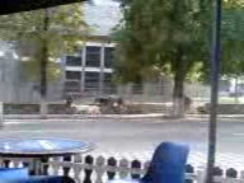 Jesus Christ in Orasul Nehoiu