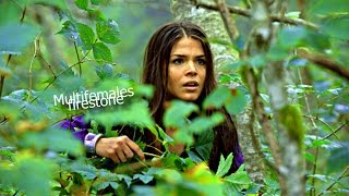 • Multifemales | Firestone {+artemis.}