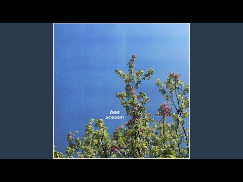 Bee Season - Wiley Beckett