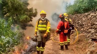 Der griechische Premierminister erwartet diesen Sommer viele Waldbrände