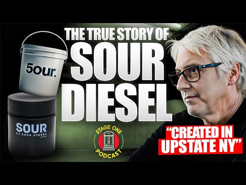 The Real Story of Sour Diesel: Its Creation, Name, and Sudden Disappearance / AJ Sour Diesel