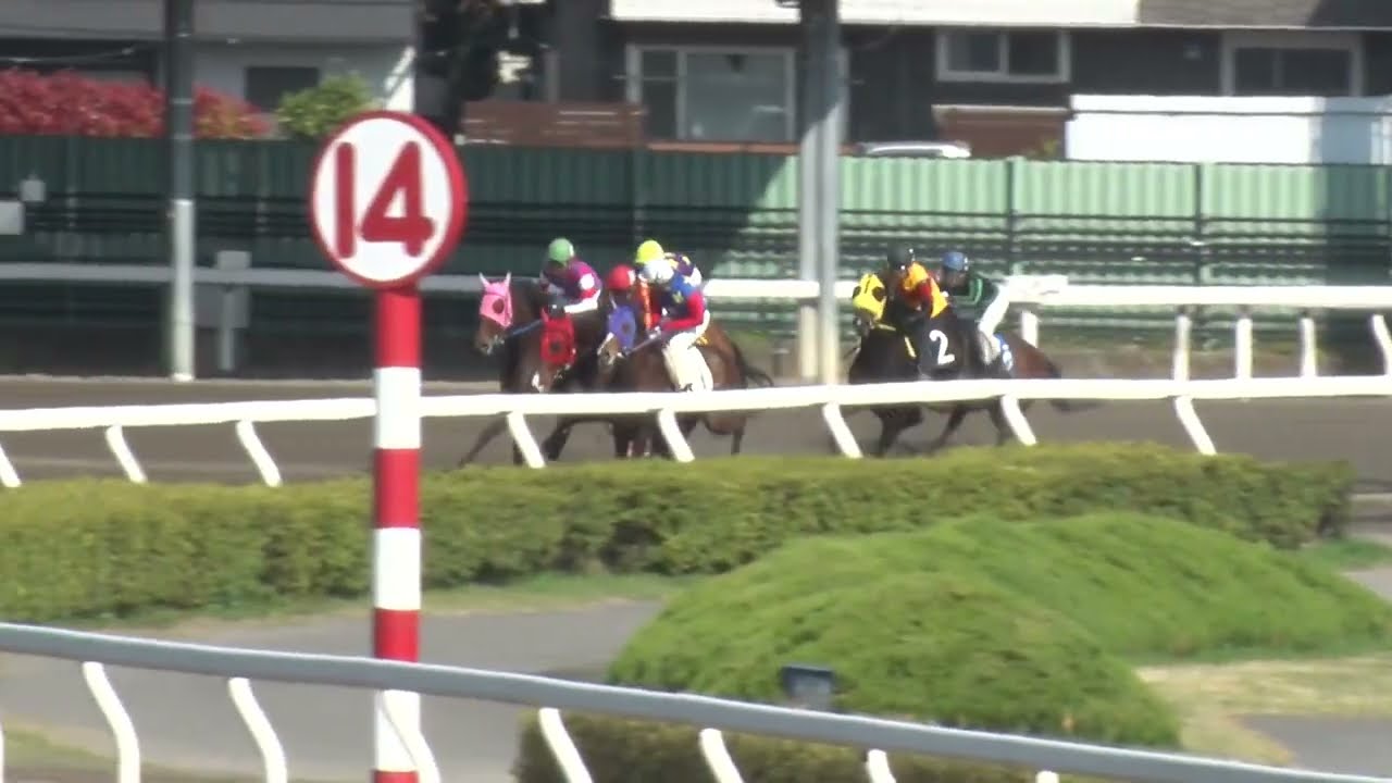 令和8年度第1回浦和競馬 能力調教試験【2026年4月3日】
