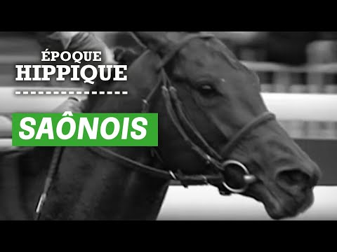 L'histoire de Saônois : le roturier dans la cour royale | Époque Hippique | PMU