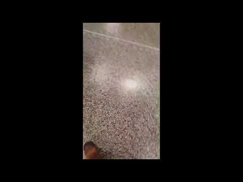 Final Gothia 2020 pojkar06