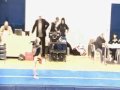 Ginnastica Artistica Michela Redemagni C1 Suolo 2009