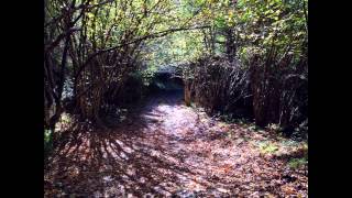 preview picture of video 'Otoñal Tierra de Biescas: camino de Santa Elena'