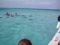 Stingray City Grand Cayman June 3