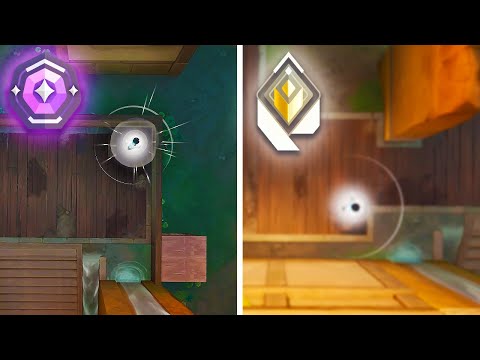 This PLANT Makes All the Difference! (DIAMOND SKYE VOD REVIEW)