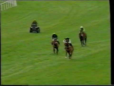 2001 - Punchestown - Craddockstown Novices' Chase - Moscow Flyer