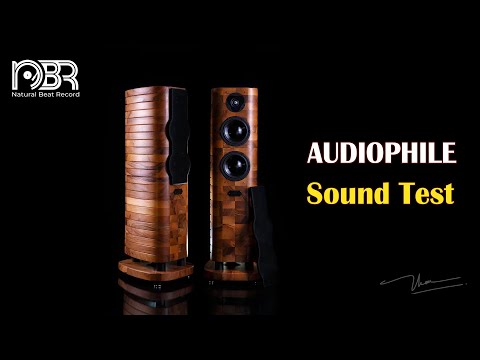 High-Fidelity Sound: The Power of Hi-Res Audio in Audiophile Setups