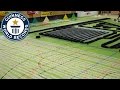 Epic Domino Show Guinness World Records