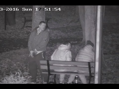 Pili i załatwiali potrzeby w parku przy ul. Kopernika