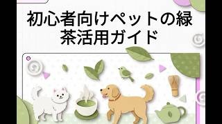 初心者向けペットの緑茶活用ガイド
