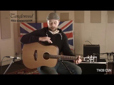 Tanglewood Demonstration - TW28 CSN