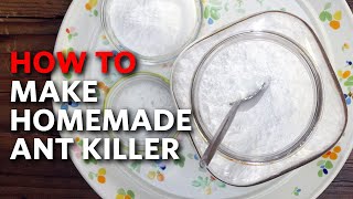 How To Make Homemade Ant Killer | Apartment Therapy