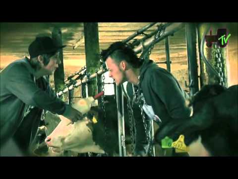 Trackshittaz-prolettn feian längah(inoffizielles video)