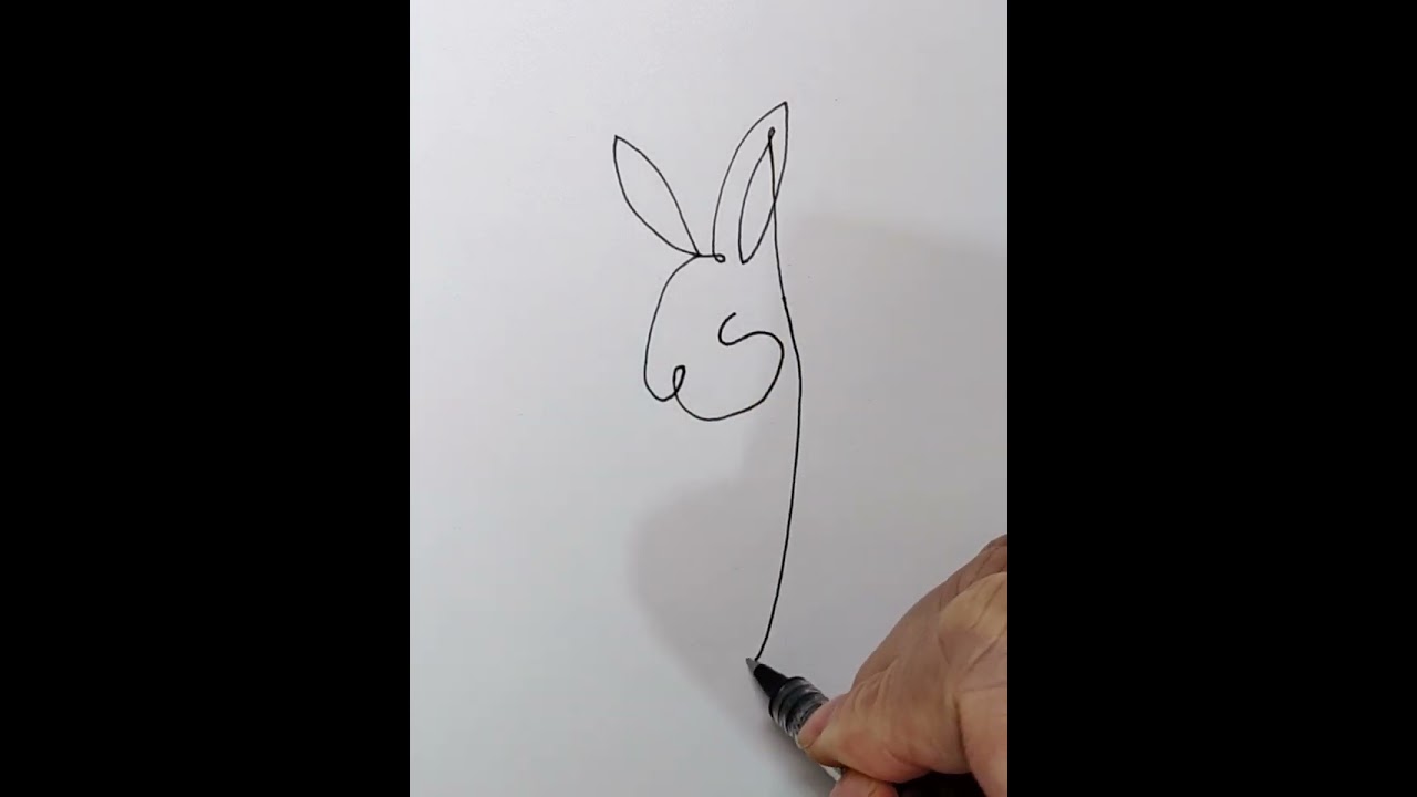 Learn how to draw rabbits with one line art-202301
