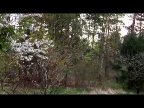 Looking out the bedroom window: Love living in Veberöd!