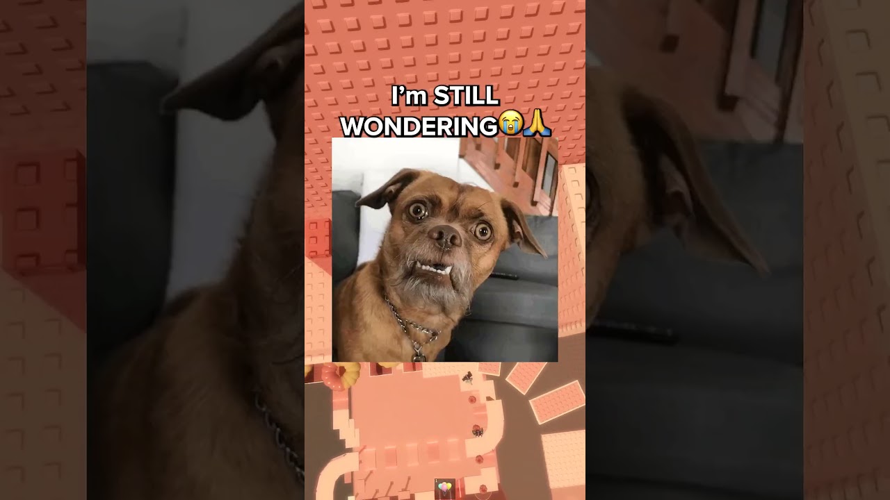 OFF SYNC BIRTHDAY SINGINGS BRO💀😭  #roblox #rants #relatable #robloxrant #funnyroblox #rblx