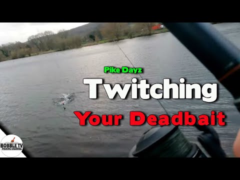 Pike Fishing Tip Twitching Your Deadbait