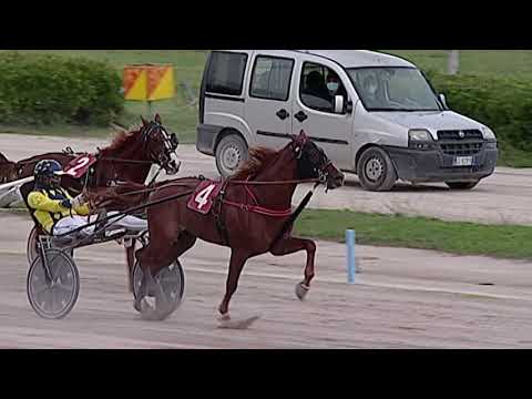 Aversa trotto 14 Ottobre 2020 - 2° Corsa