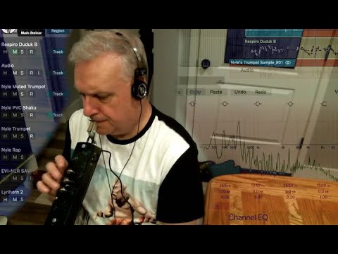 Mark Steiner - Time Travel Wind Synth Sound Collection (incl. the Nyle Steiner Historical Patches)