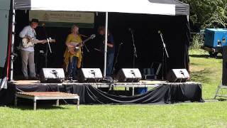 Linda Watkins Band at Brackley Folk in the Park 2013