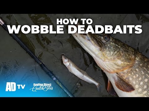 How To Wobble Deadbaits - Predator Fishing Quickbite - Pike Fishing