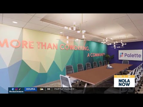 Palette Northshore — WVUE FOX 8 New Orleans