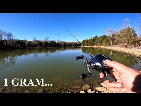 22 Shimano Aldebaran BFS casts 1 GRAM...