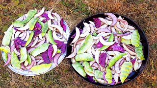 আমার শখের বাগান থেকে অনেকগুলা সিম পেরেছি!! আলহামদুলিল্লাহ মাশাআল্লাহ!!