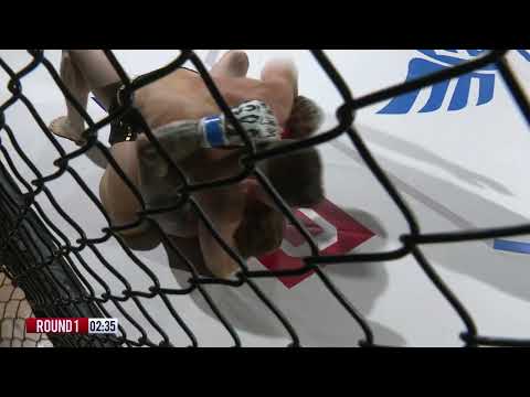 Almighty Fighting Championship 31 - Dave Jones vs Adam Butterworth